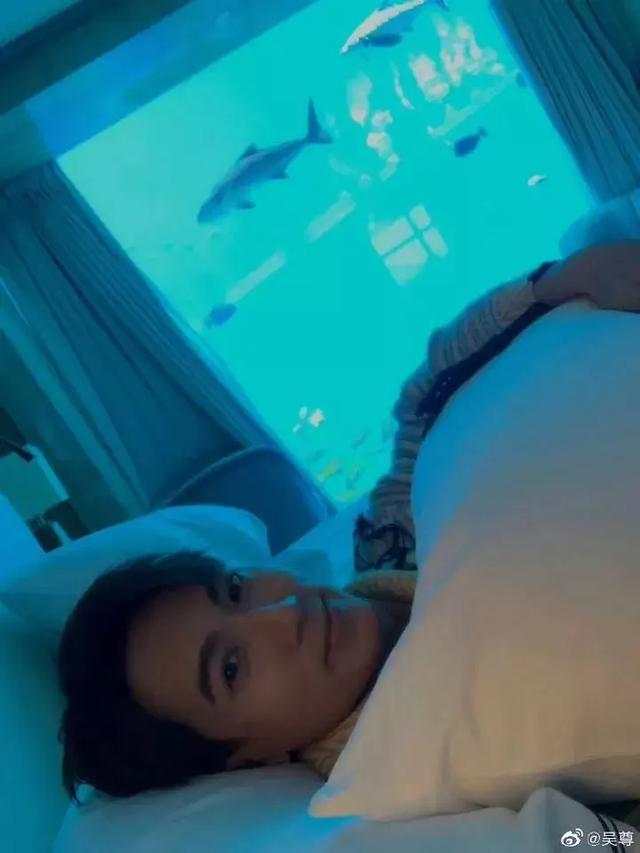 三亚亚特兰蒂斯水世界游玩路线,三亚亚特兰蒂斯水上乐园游玩项目