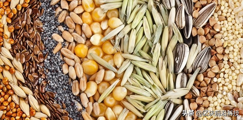 粮食中的“芯片”同样受限,被加价几十倍也不得不购买