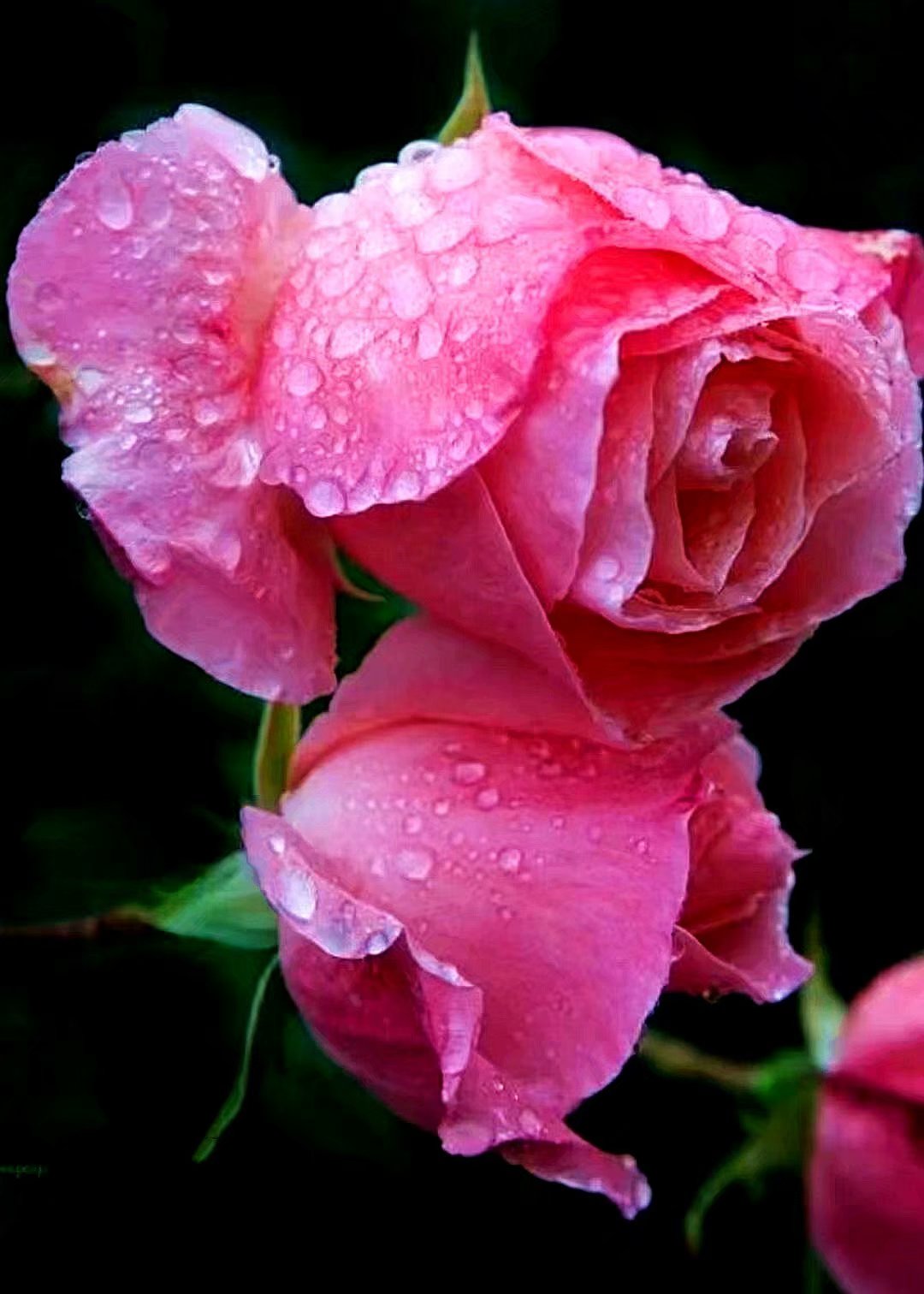 2019年快要结束的感悟,2019马上过去了