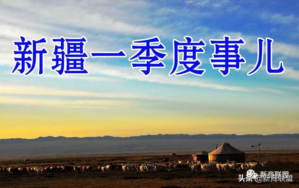 疆内新闻事件,疆内最新新闻及相关视频