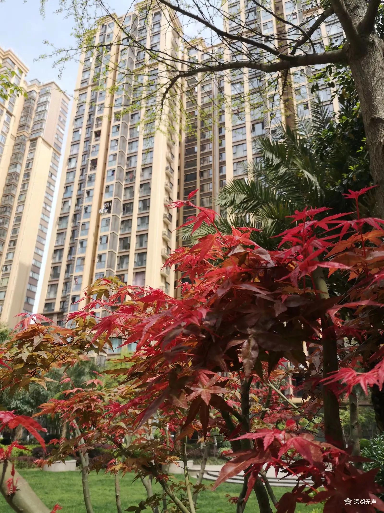 红光,一座荣光与梦想并存的小城