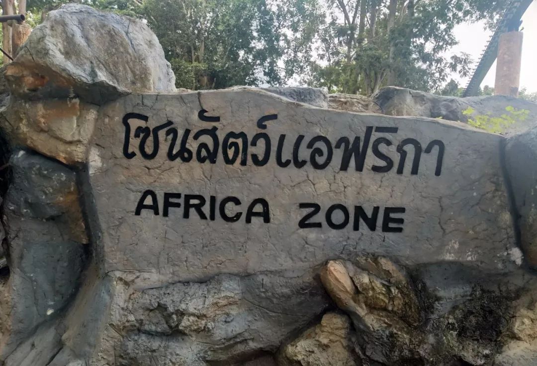 为什么现在好多人选择去泰国上学,为什么很多人选择去泰国