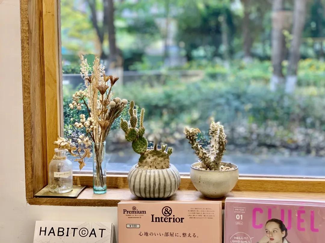 用阅读触摸成都|在成都不能错过的10家书店(下)