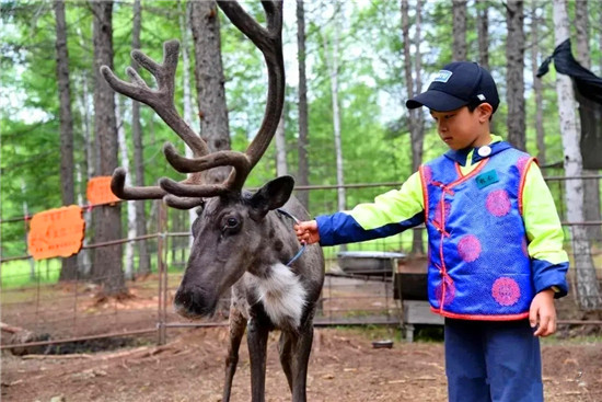 旅行社跟团游注意事项,跟团旅游选择哪个旅行社最安全