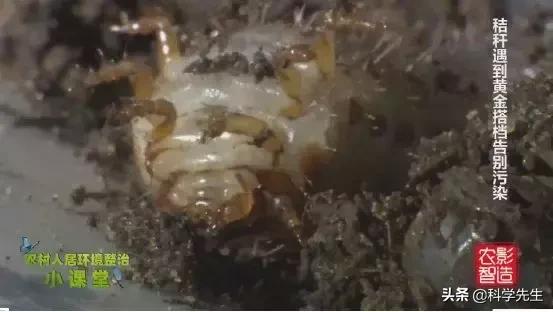 3万吨秸秆收益,利用秸秆赚钱