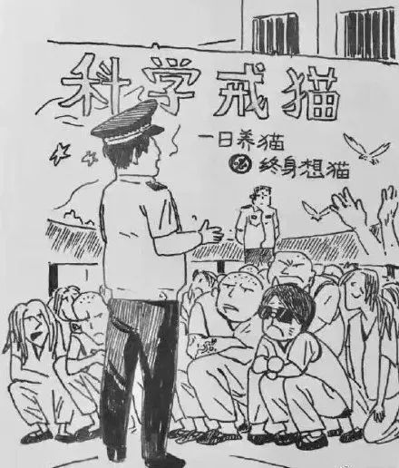 便宜猫抓板有什么危害,做猫抓板和猫爬架