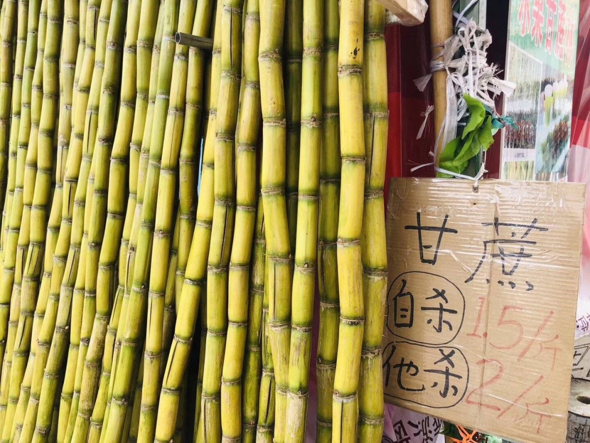 正南齐北是成都话吗,正南齐北的由来