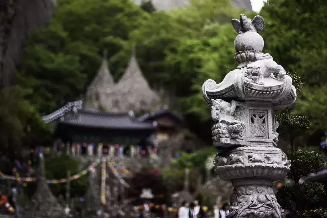 12月机票白菜价！温州出发，最低只要90元！