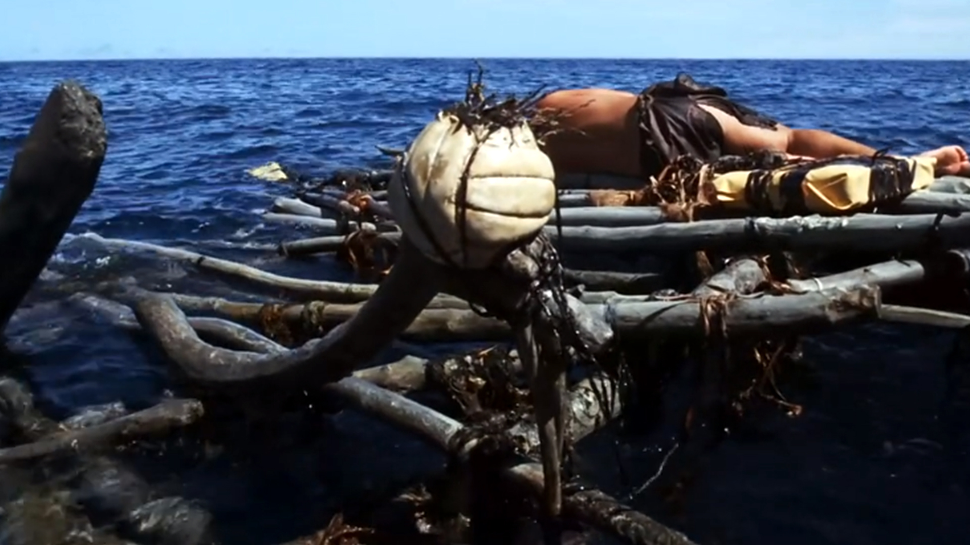 荒岛求生汤姆汉克斯在线观看,汤姆汉克斯荒岛余生解说