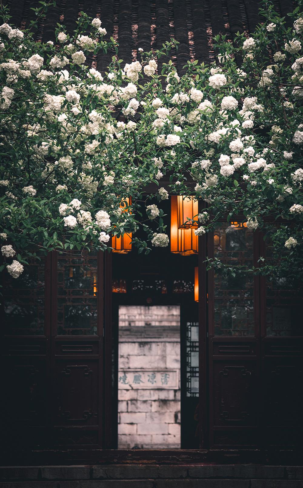 CCD|一方金陵，千面風流|南京蘇寧鐘山國際高爾夫酒店