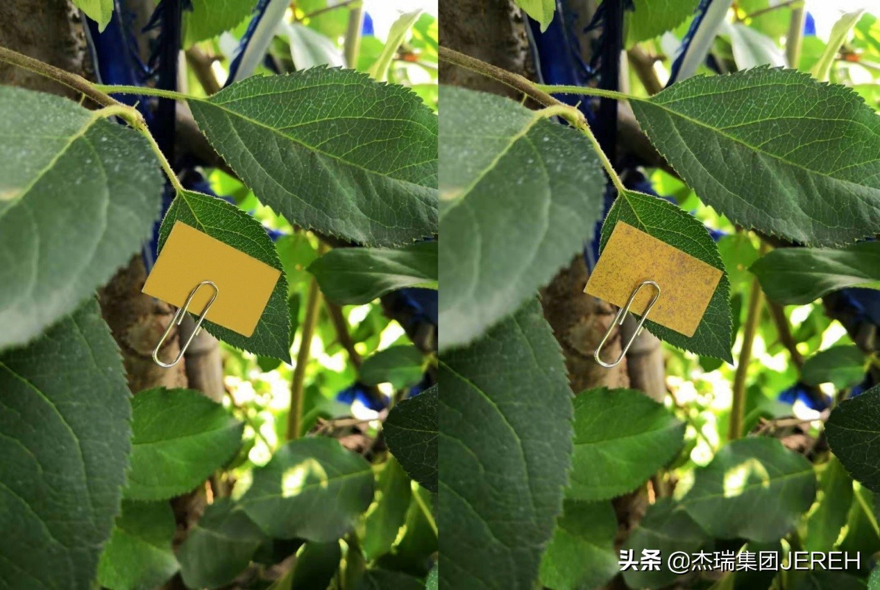 杰瑞静电喷雾,杰瑞华创静电喷雾