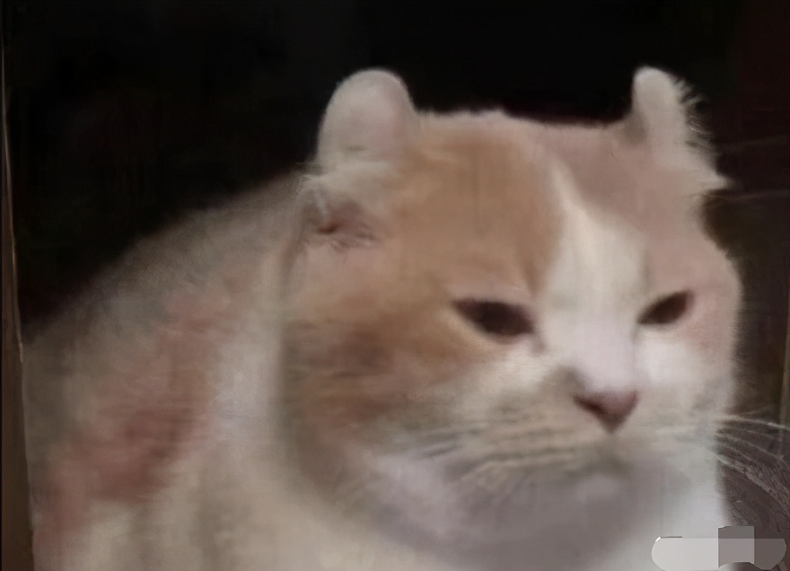 剑网3花间游厉害吗,剑网三花间崩溃瞬间