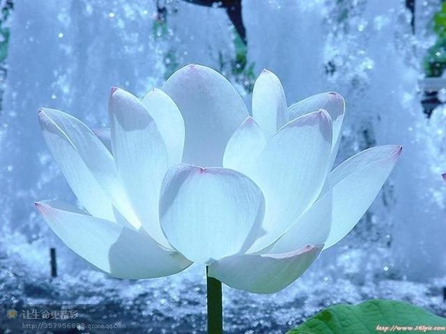 2023年清明祭祖有什么禁忌,清明祭祖有什么禁忌