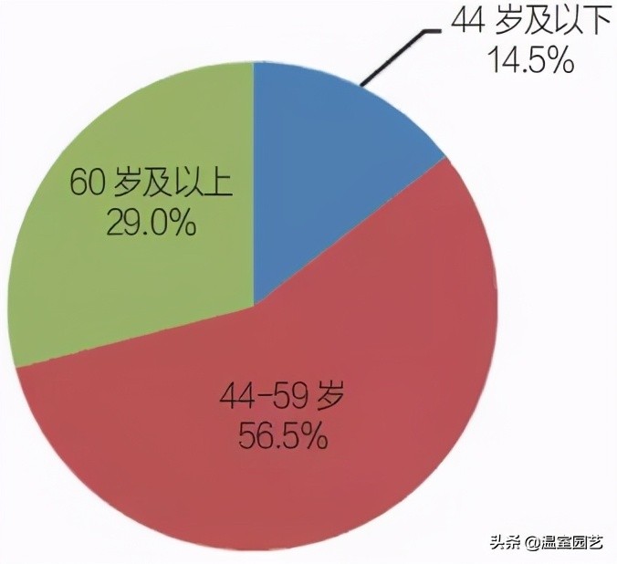 草莓电商是怎么赚钱的,电商发展对城市的影响