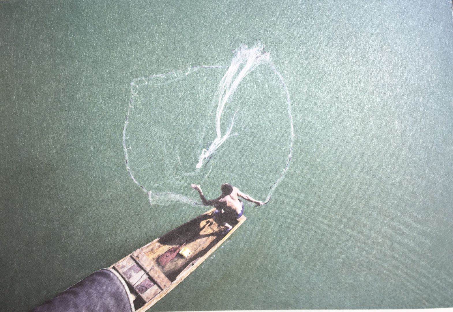 等一朵花开需要很多的耐心和微笑,等一朵花开经典句子