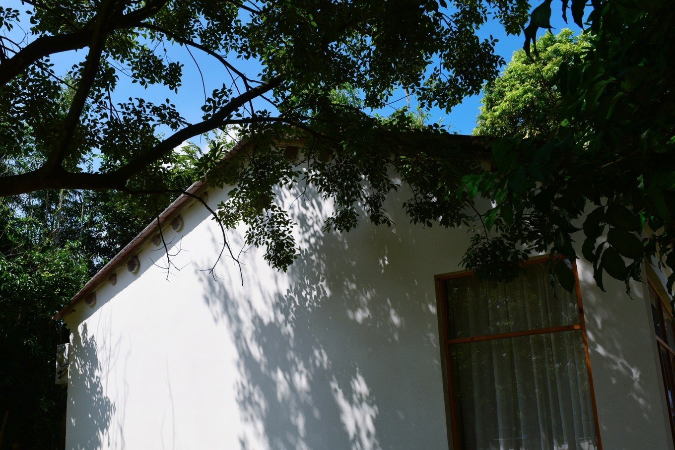 从北海坐游轮去海南海上观光,北海国际邮轮到越南