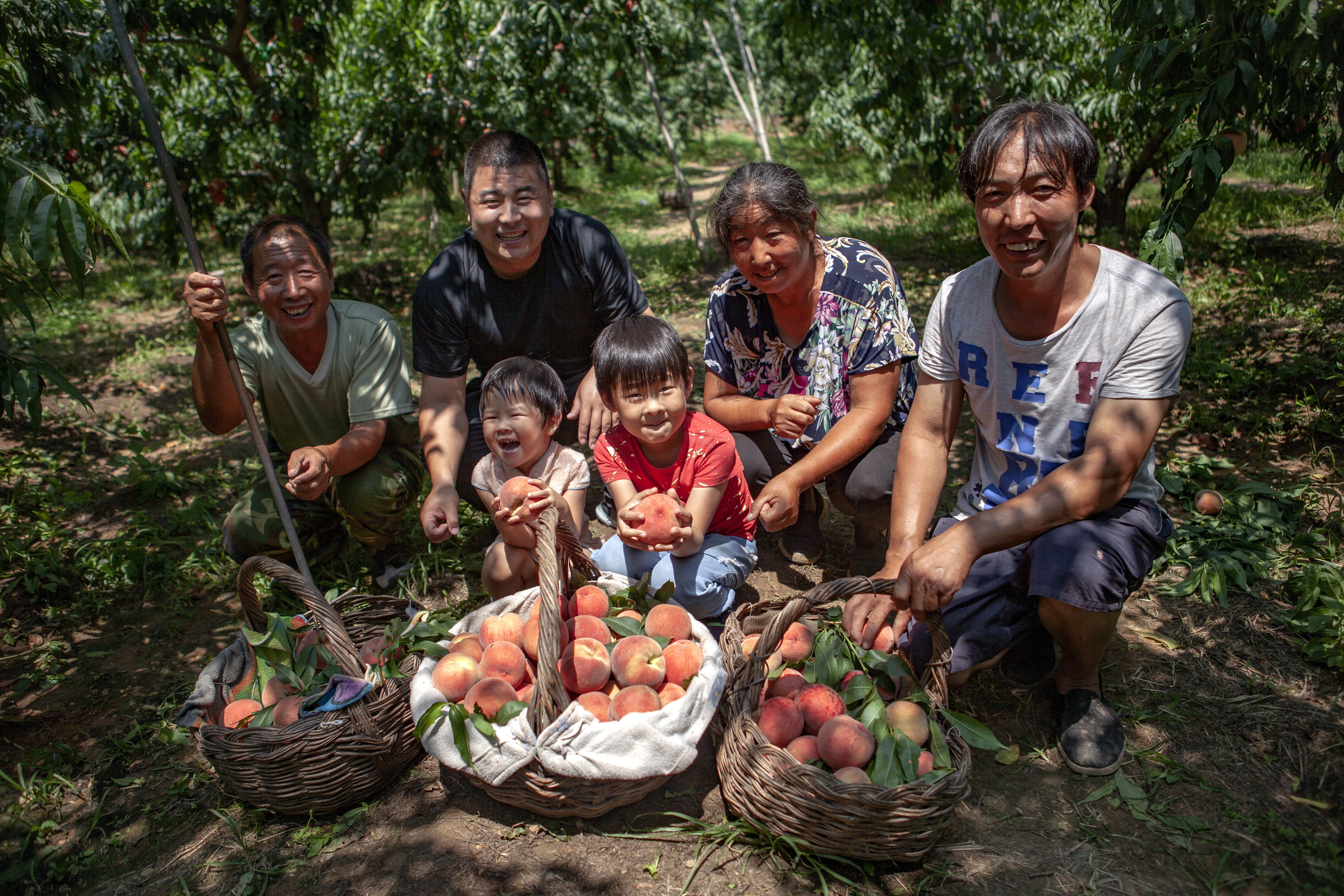 村书记如何帮助致富,村书记增收致富建议