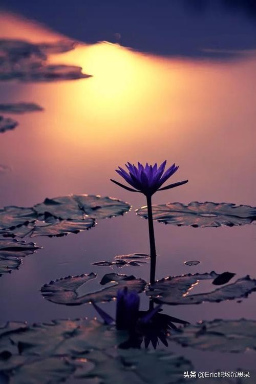 孩子被孤立不懂交际怎么教育他,当你的小孩长大不听话时如何教育