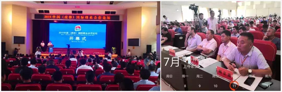 虎林战立新,虎林市黑蜂雪蜜