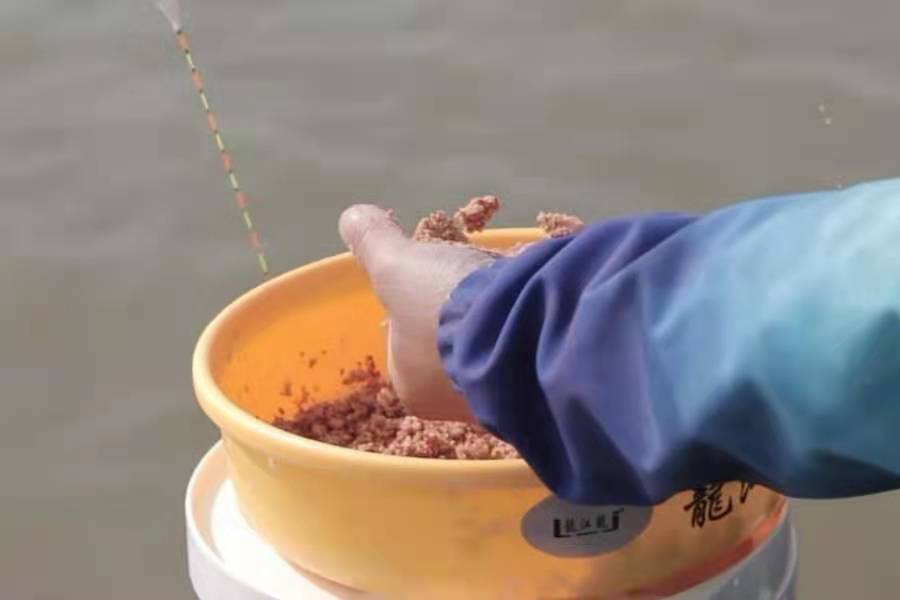 水下有鱼但是不吃饵怎么办,冬天水底有鱼无口怎么办