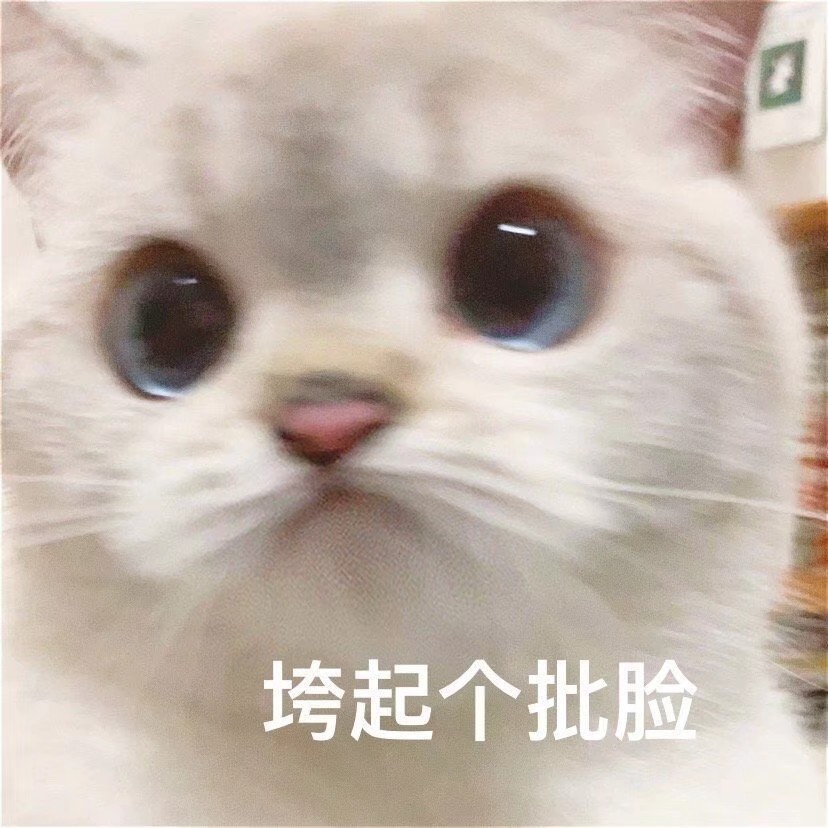 剑纯很弱吗,剑纯适合打攻防吗