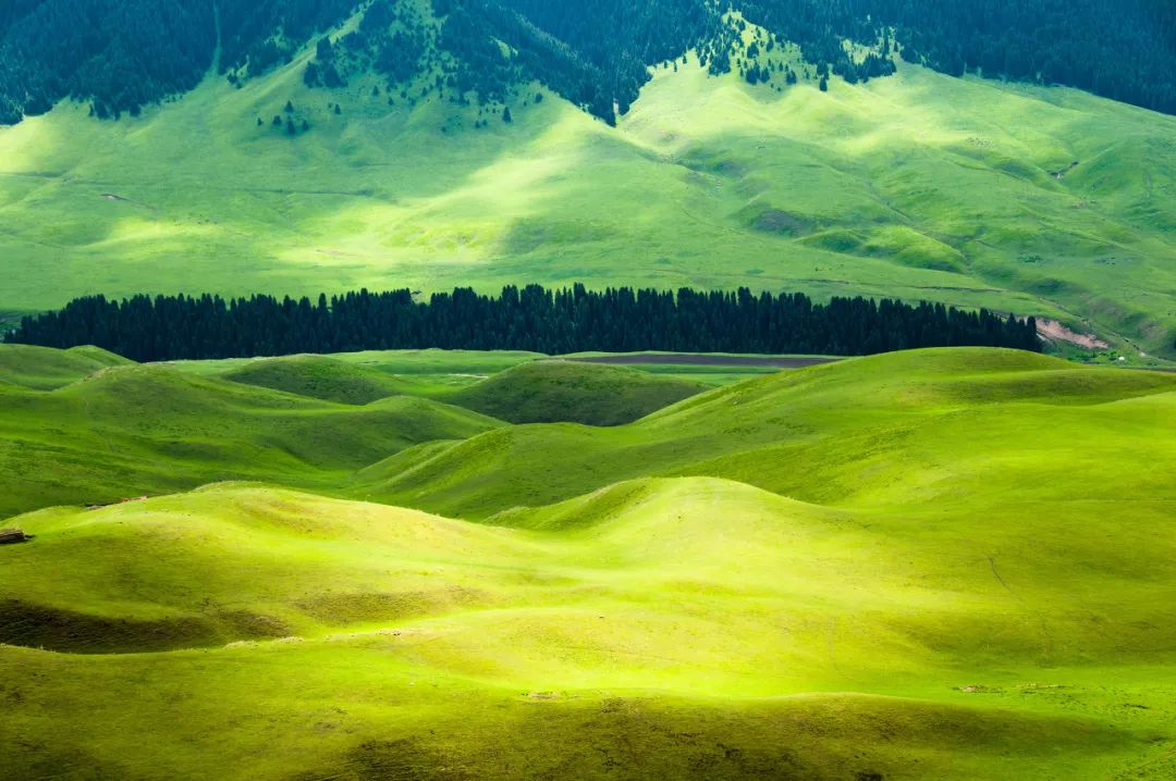 六月的北疆哪些地方值得去,六月的北疆解说