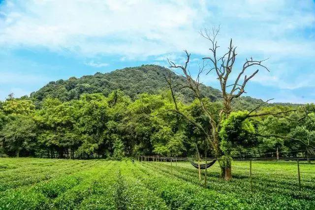 九溪景区梦溪山庄酒店,冬天雅致梦溪山庄杭州九溪店