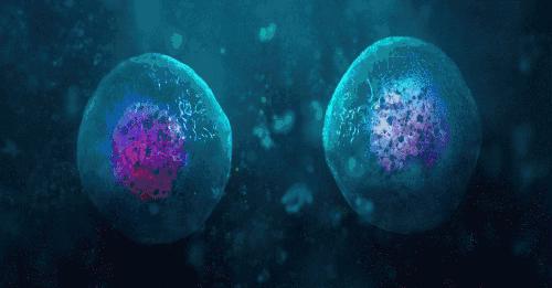 挽救3亿失眠患者，干细胞疗效持续长达1年之久，远高于药物治疗