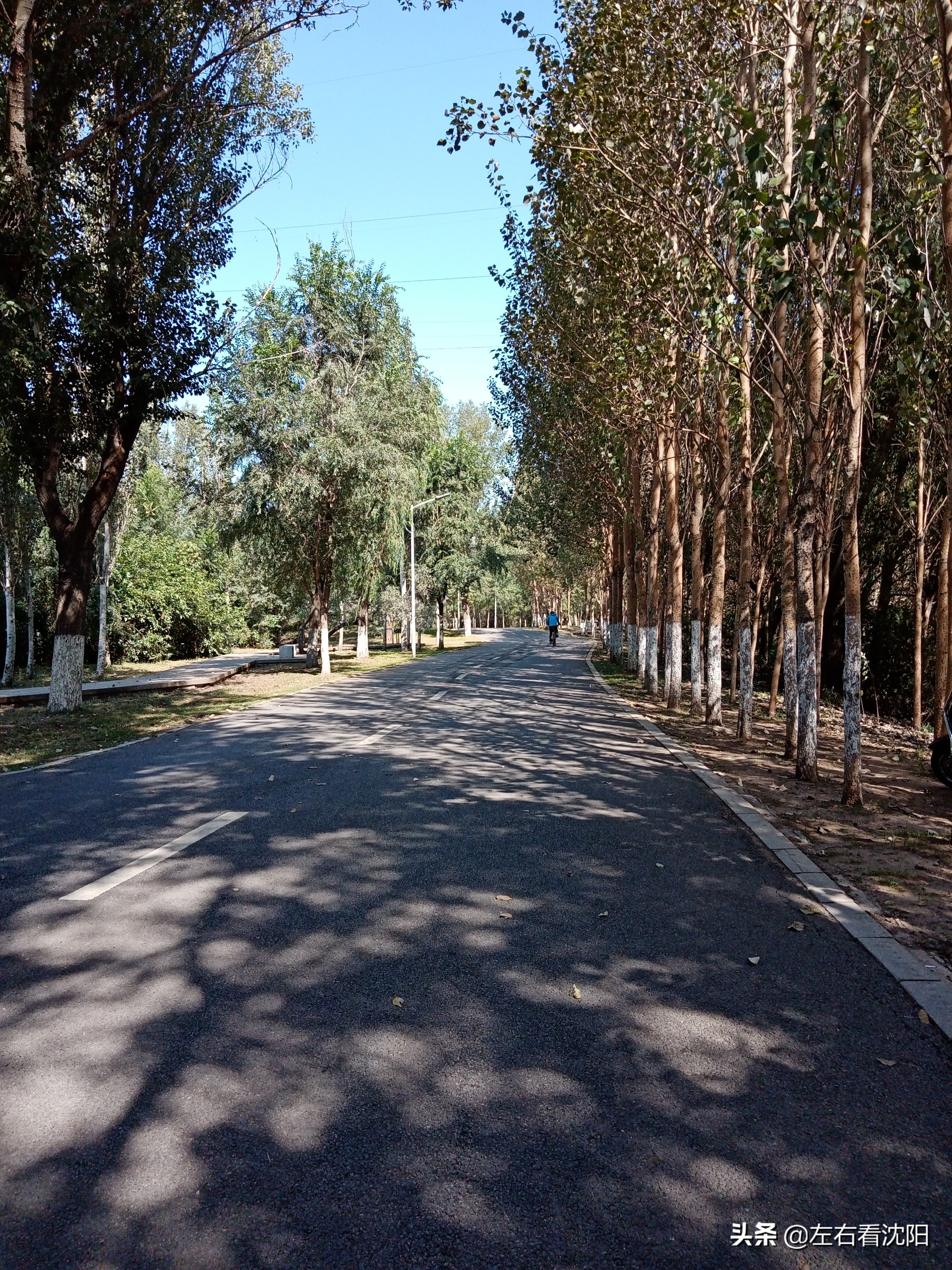 沈阳浑河游玩攻略冬季,盛京浑河晚渡视频