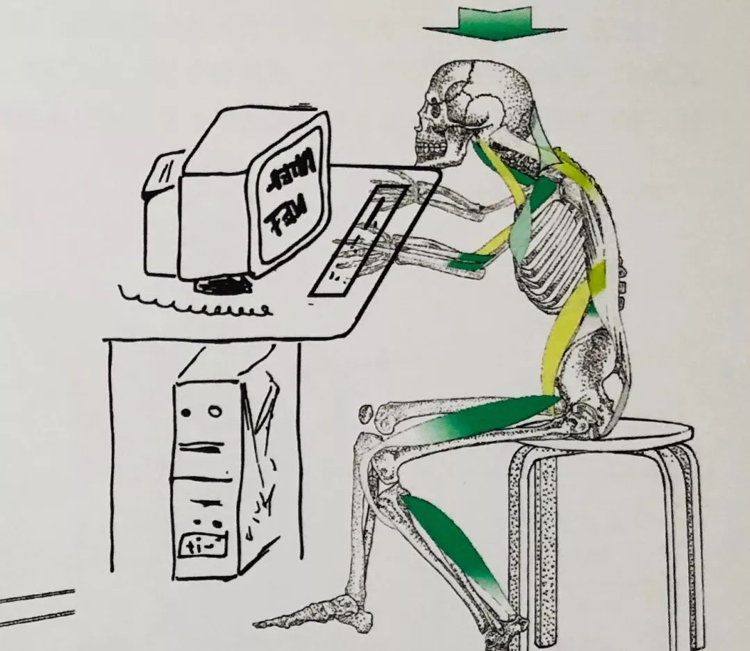 完美的运动模式——肌肉链运动