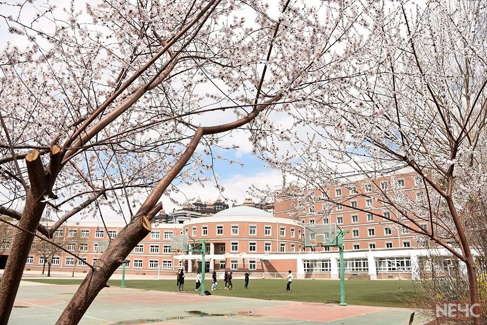 辽宁省百强高中前20名,辽宁大连排名前十的中学