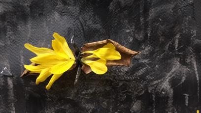 10种纸鹤折法,一天折50个千纸鹤