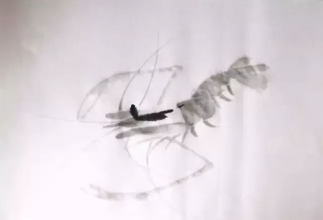 怎样画虾教学视频,铅笔画虾的步骤和方法