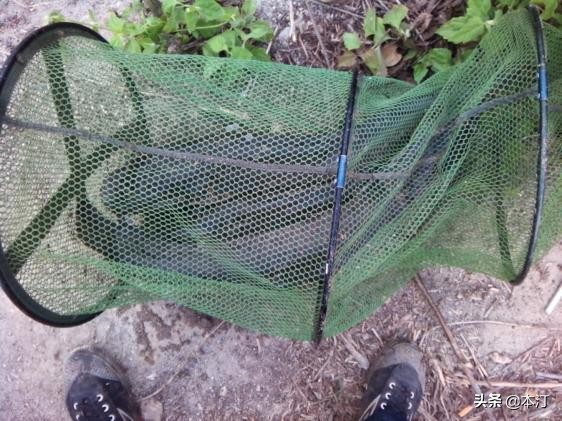 忙里偷闲抽点时间出来钓鱼,忙里偷闲去钓鱼的视频