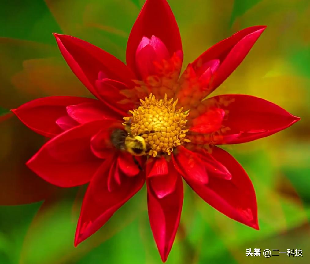 有hdmi接口就可以用hdmi2.0的线吗,hdmi线的质量对画质有什么影响