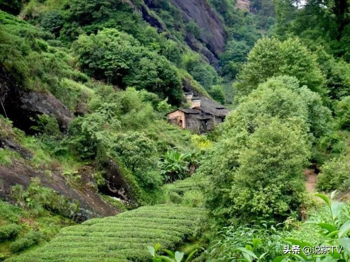 一家值得推荐的茶叶店,古朴典雅的茶叶店