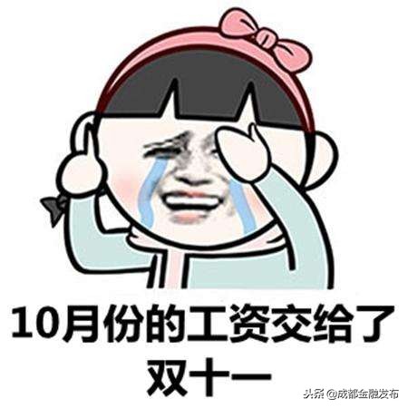 双十一剁手后的钱包,剁手党双十一后还款