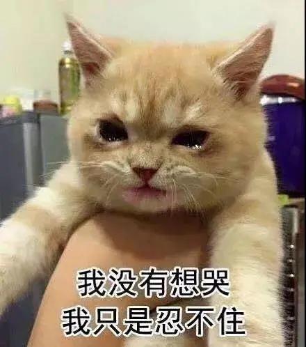 一季报大增股票名单,以岭药业长线操作策略