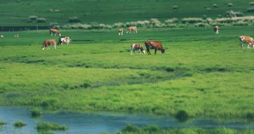 一生必去的中国50个最美地方,中国秋天最美的十个地方