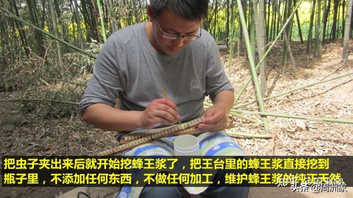 粘稠的蜂王浆是不是真正的蜂王浆,怎么辨别蜂王浆的正确吃法