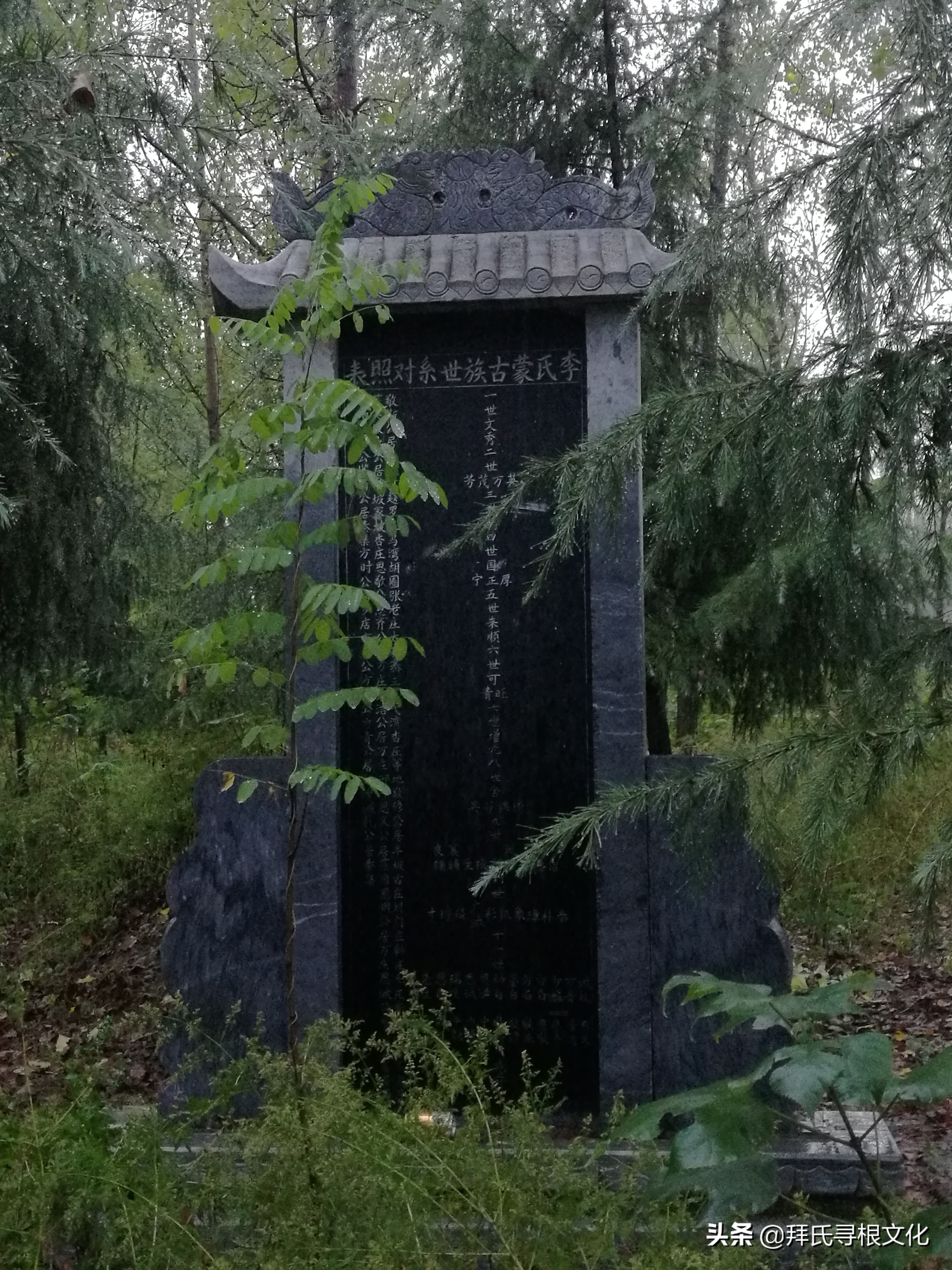 风雨泰和“转楼”