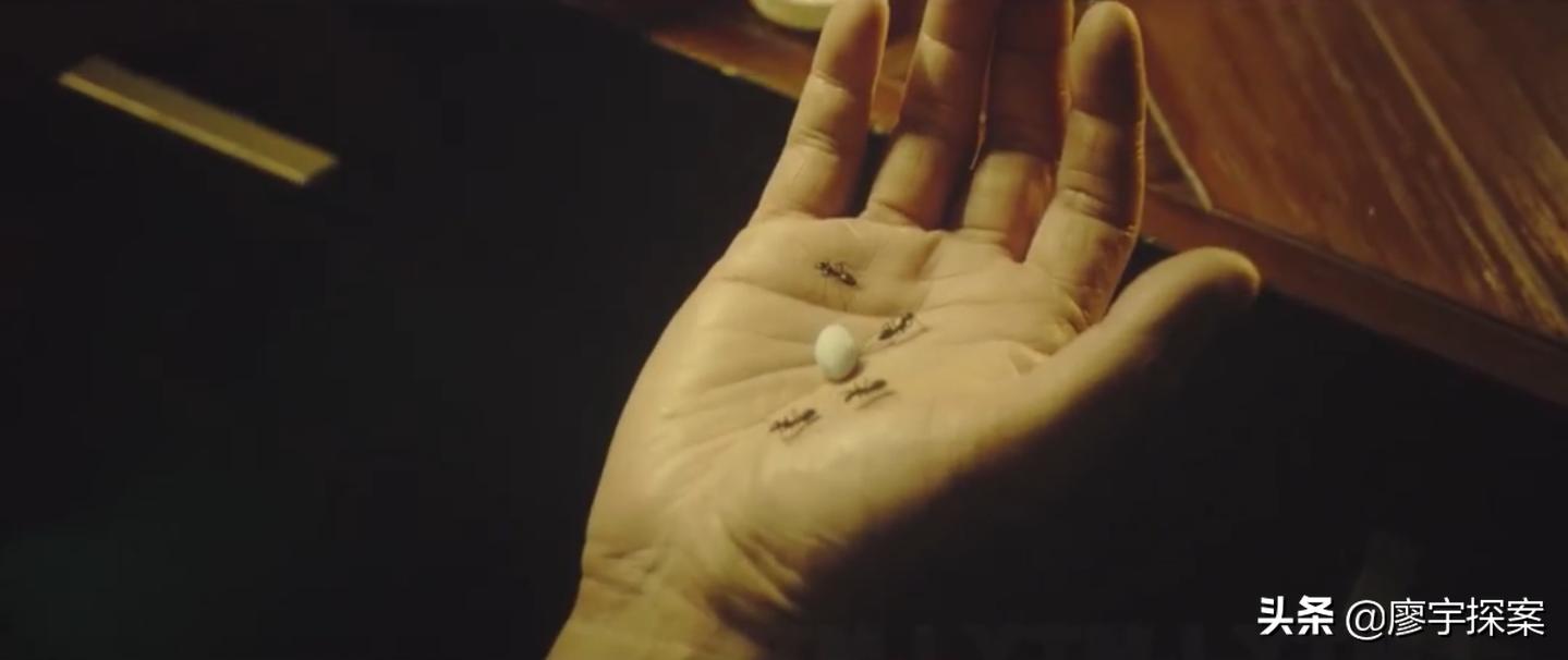 名侦探鹦鹉,名侦探鹦鹉破案