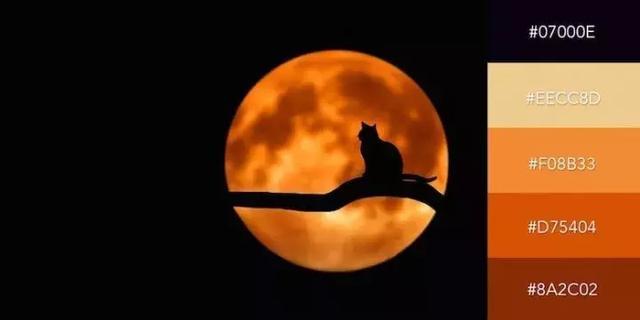 999张照片模板,999999999的创意图片