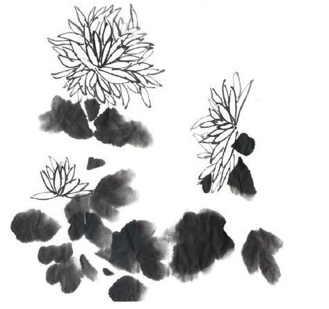 写意花鸟画技法菊,写意菊的画法教程