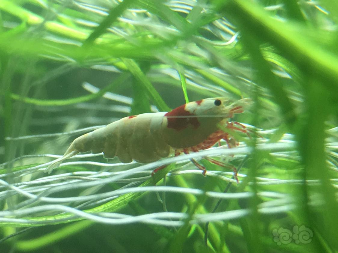 分享养鱼经验,分享水产创业经验