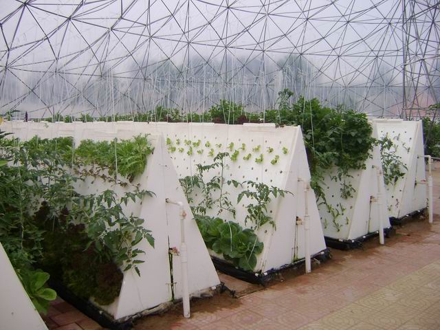 无土栽培蔬菜投资成本,无土栽培设备制作方法