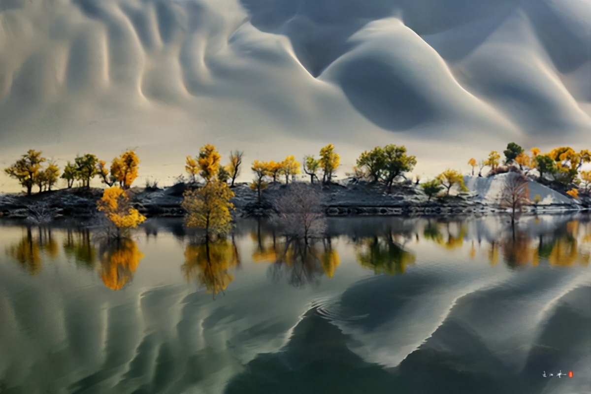 艺术家朗诵不朽的胡杨,千年不朽的胡杨