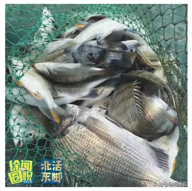 徐闻人的真实生活,徐闻县人风俗习惯