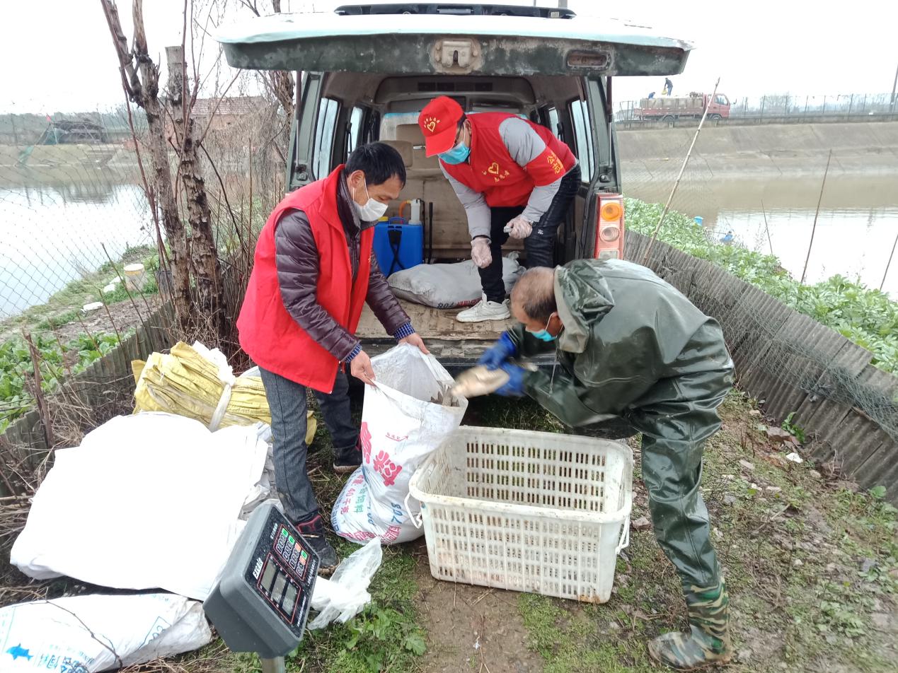 来自武汉的特种家书,一封来自武汉前线的家书