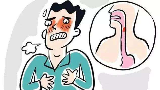 一颗小米粒的旅行,一颗米粒的旅程